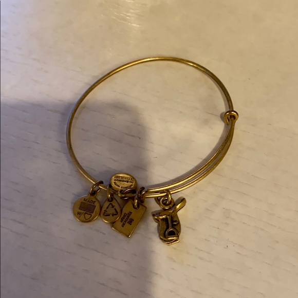 Alex and Ani saddle bangle bracelet - Picture 2 of 2
